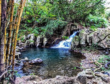 Hamakua House and Camping Cabanas