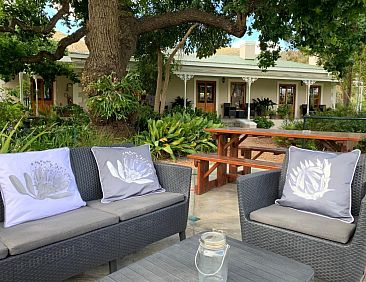 Montagu Vines Guesthouse