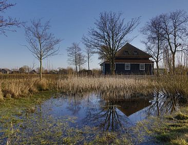 Vakantiehuis Wiringherlant