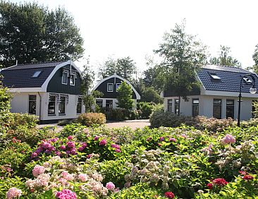 Vakantiepark Koningshof 16