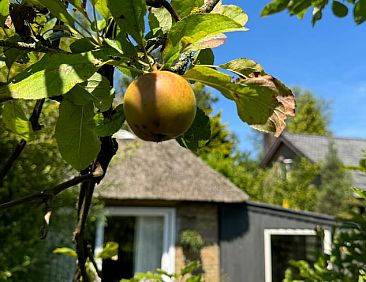 Vakantiehuisje in Schoorl