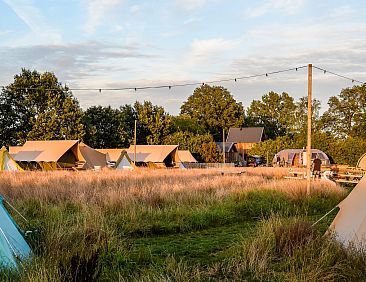 Pop-up glamping: Buurman's Awajitentje | 2-4 personen