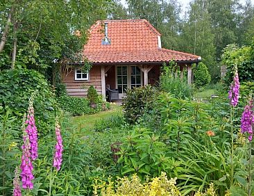 Huisje in Vriezenveen