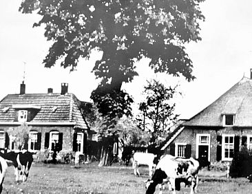 Vakantiehuisje in Nieuwleusen