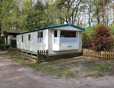 Vintage Forest Chalet 