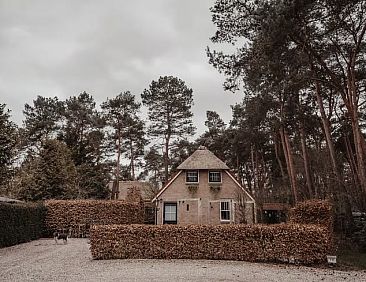 Vakantiehuisje in Beerze