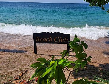 Koh Tao Beach Club