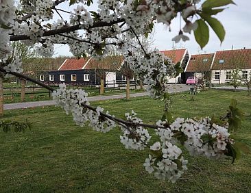 Huisje in Noordgouwe