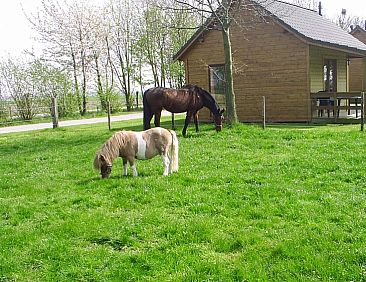 Receatieboerderij de Zeemeeuw