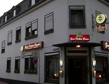 Hotel zum dicken Baum