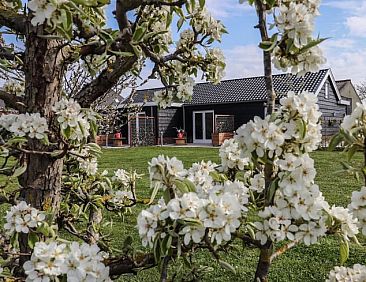 Vakantiehuisje in Sommelsdijk