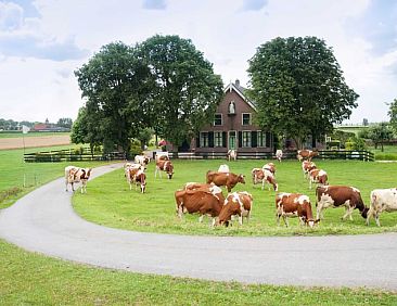 Vakantiehuis in Nieuwveen