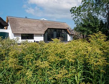 Huisje in Aarlanderveen