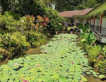 Seri Pengantin Resort