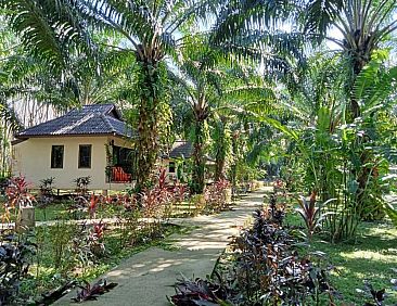 Khao Sok Palm Garden Resort