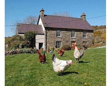 Nantgwynfaen Organic Farm Wales